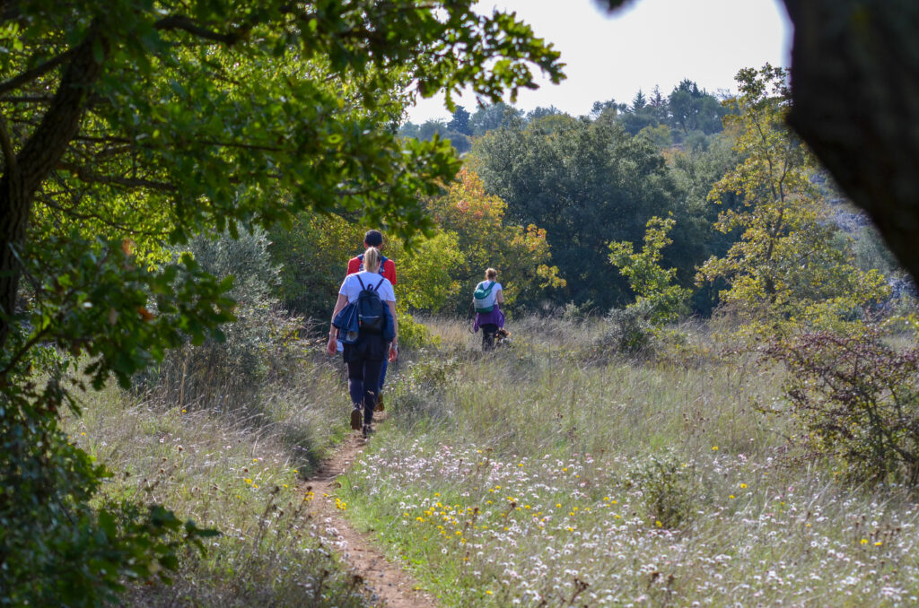 Passeggiata a sei zampe